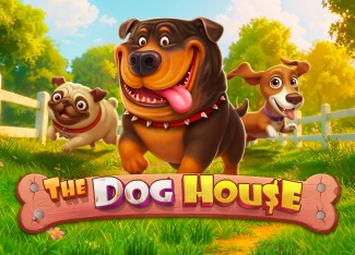 The Dog House Oyun Taktikleri ve Stratejiler | Risebet — rehber görseli